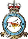 51 Squadron RAF Regiment badge