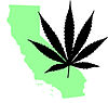 California marijuana template.jpg