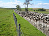 Hadrian's Wall at Birdoswald - geograph.org.uk - 552095.jpg