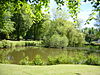 Pond at Inglewood House - geograph.org.uk - 180468.jpg