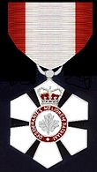 The insignia of a Companion of the Order of Canada