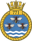 771 NAS Badge.jpg