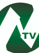 Noorin TV Network logo.png