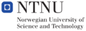 Logo of the NTNU
