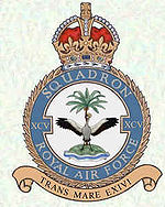 95Squadron badge