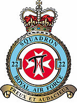 22 Squadron badge