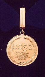 Gold medal encircled in a laurel wreath and inscribed "PDSA For animal gallantry and devotion to duty" held from a ring suspended by a golden ribbon.