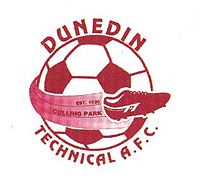 Dunedin Technical Logo.jpg