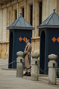 Guard in front of the Palace, Luxembourg.JPG