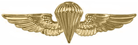 A gold image of a parachute with wings.