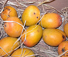 Photo of 10 large mangoes