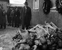 Several men in suits and uniforms at a concentration camp approaching a pile of emaciated corpses