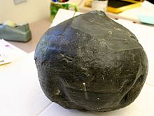 A greyish-brown round object with some pits and horizontal lines. The coal ball is located on a white paper. The background contains a white sheet of paper, tape, and a mug on an office desk.