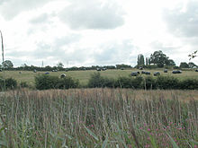 Field of hay with green field beyond