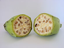 The fruit of Musa balbisiana, showing numerous seeds.