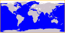 A world map shows killer whales are found throughout every ocean, except parts of the Arctic. They are also absent from the Black and Baltic Seas.