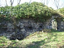 Mauerrest Burg Dohna.jpg