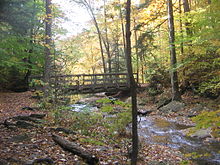  A hiking trail crosses a creek on a horizontal wooden footbridge with handrails. Below the bridge the creek drops out of sight and there is an opening in the trees behind the bridge. It is autumn and leaves of yellow, orange and some green are visible on the trees, rocks and trail.