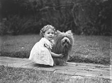 Study of a small girl with a prize Scottish terrier dog.jpg