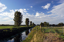 Long straight water filled channel, with occasional trees on the left hand bank and grass on the right hand bank.