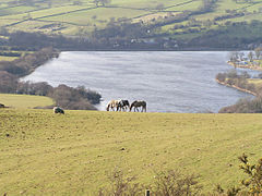 Combs Reservoir from Whitehills by Dave Dunford.jpg