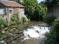 Water flowing through a channel and over a weir betwen a building and a wall. Vegeatation on both sides of the water.