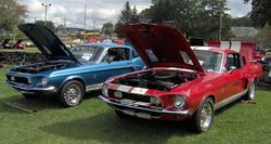 1968 GT500 and GT350.JPG