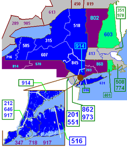 Area codes ny.png