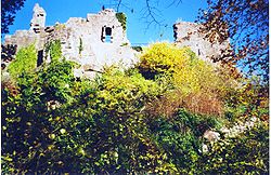 Château du Frankenbourg.jpg