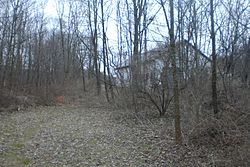 A white building seen through leafless trees to the right from a small clearing with dead leaves everywhere