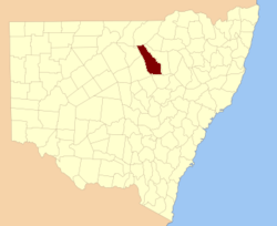 Leichardt NSW.PNG
