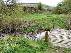Looking down a grassy valley with a wooden bridge over a small stream in the foreground.