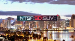 NTSF SD SUV.png