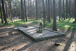 Piaśnica Forest - Mass grave 01.jpg