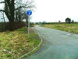 Narrow single carriageway, with wide grass verges, in a flat rural landscape.