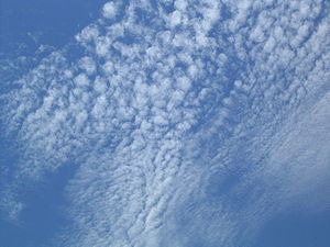 Layer of cirrocumulus stratiformis clouds