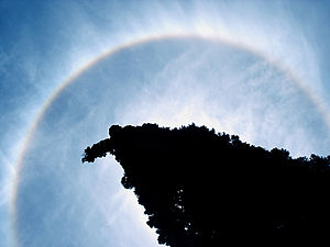 Cirrostratus nebulosus clouds being illuminated by the sun and forming a halo