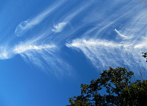 Cirrus vertebratus cloud