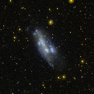 NGC 2366 2363 GALEX WikiSky.jpg