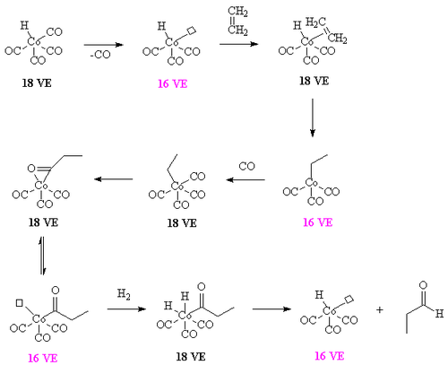Hydroformylation of ethylene using a cobalt carbonyl