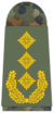 331-Generalleutnant.png