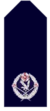 Nsw-police-force-assistant-commissioner.png