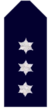 Nsw-police-force-inspector.png