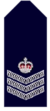 Nsw-police-force-senior-sergeant.png