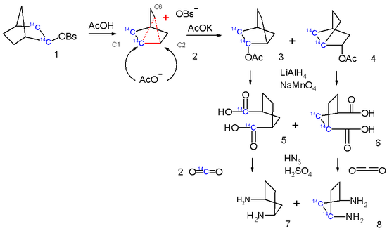 Scheme 4. non-classical ion tracer studies