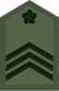 JGSDF Master Sergeant insignia (miniature).svg