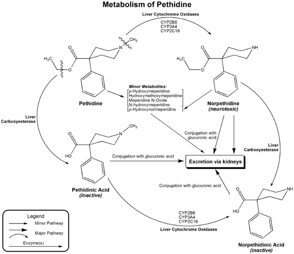 Metabolism of pethidine.png