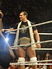 Alberto Del Rio WWE.jpg