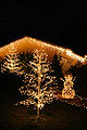 Christmas lights trees and snowman.jpg