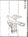 'Flying Crow With Magic Fire', a winged rocket bomb.jpg